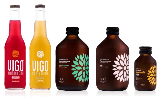 VIGO Kombucha